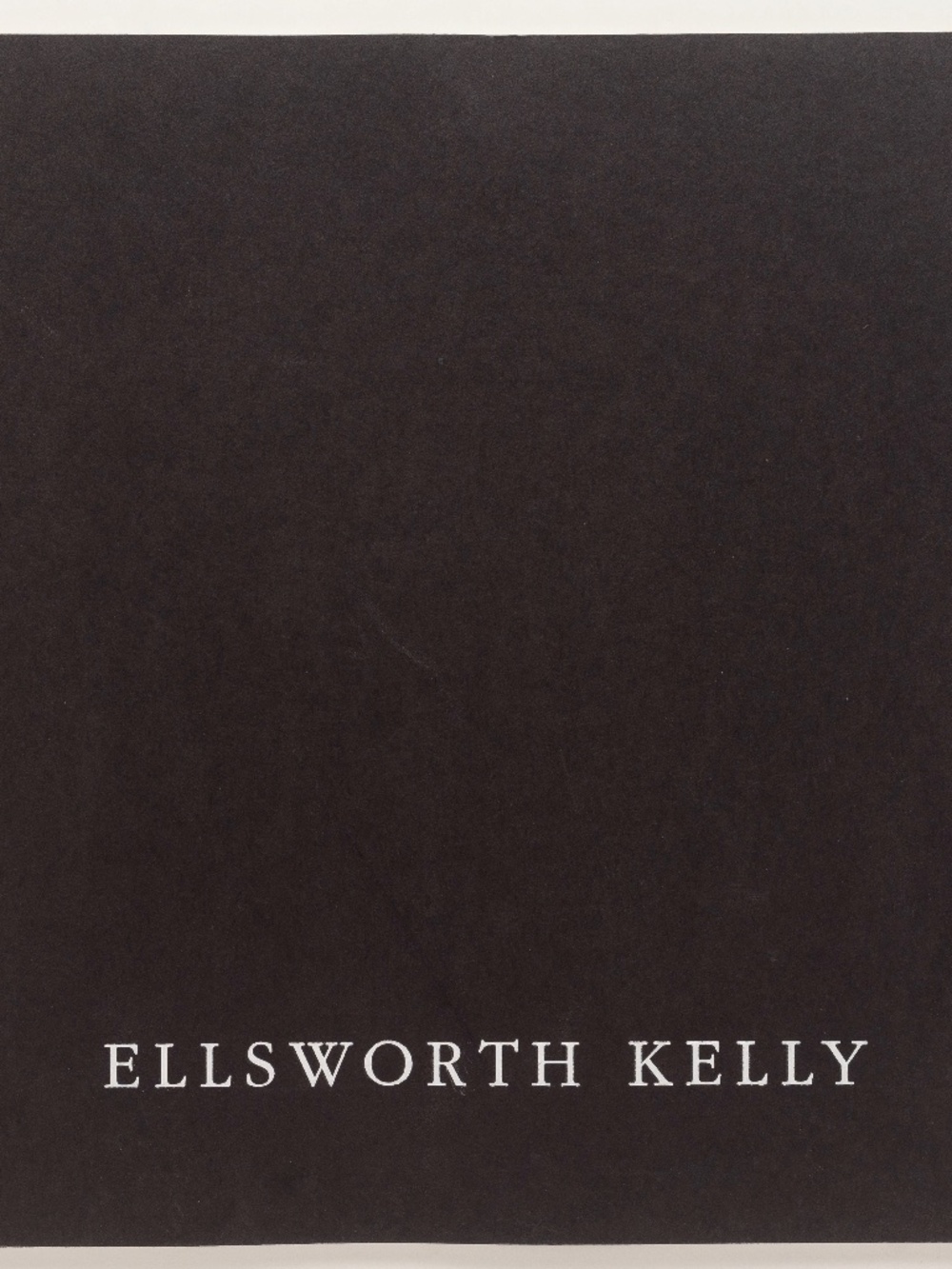 ELLSWORTH KELLY Curves/Rectangles - BlumHelman, 1989 - Barbara Rose